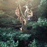 Capa do single Gobbledigook