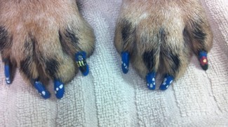 3NailArt