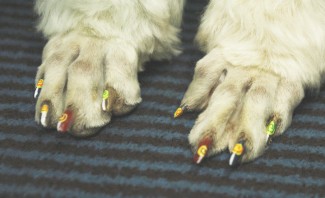8NailArt