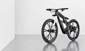 audiebike05